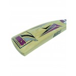 HRS 100 Up Kashmir Willow Cricket Bat